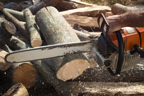 Lumberjack cutting wood with chainsaw.
