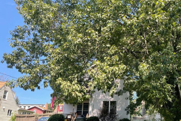 Prs tree services sep0102